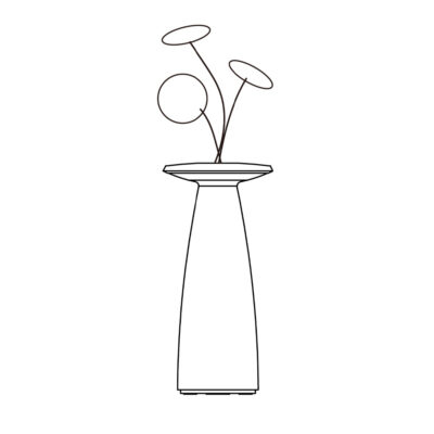 Flora